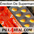 Érection De Superman new01